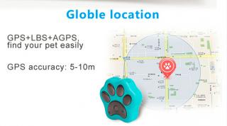 Pet Paw GPS Tracker