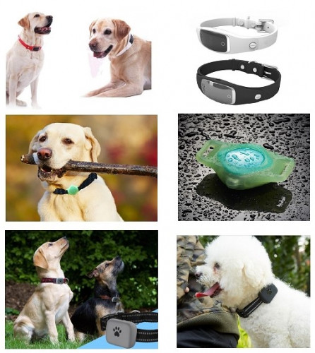 Pet Collar Tracker (Pet Trax)