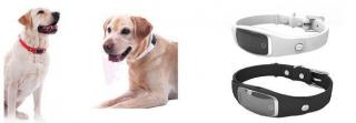 Pet Collar Tracker (Pet Trax)