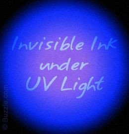 Mini 21 LED UV Torch