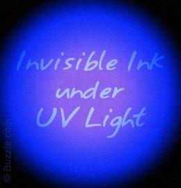 Mini 21 LED UV Torch