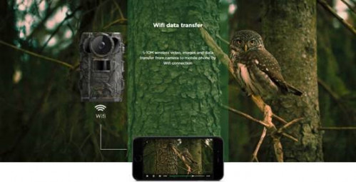 Hunting / Trail Camera with 4G