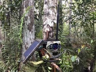 Hunting / Trail Camera with 4G