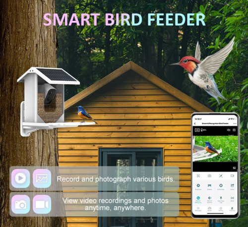AI Smart Bird Feeder - Wifi