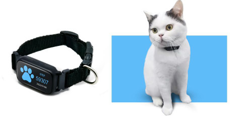 Pet  Collar Trackers V2