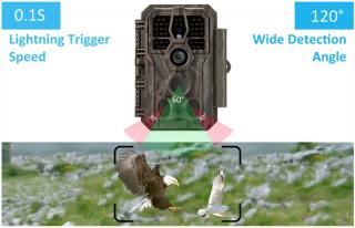 AvaTek Trail Camera - 32mp Game/Hunting Bird Monitoring Camera with 100ft Night Vision & Motion Activated - Waterproof IP66